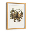 Colección De Octopos Antigua Vii | Cuadro decorativo de Canvas Lab