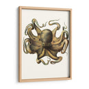 Colección De Octopos Antigua Vii | Cuadro decorativo de Canvas Lab