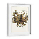 Colección De Octopos Antigua Vii | Cuadro decorativo de Canvas Lab