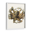Colección De Octopos Antigua Vii | Cuadro decorativo de Canvas Lab