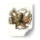 Colección De Octopos Antigua Vii | Cuadro decorativo de Canvas Lab