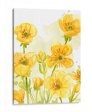 Sunshine Meadow I - June Erica Vess | Cuadro decorativo de Canvas Lab