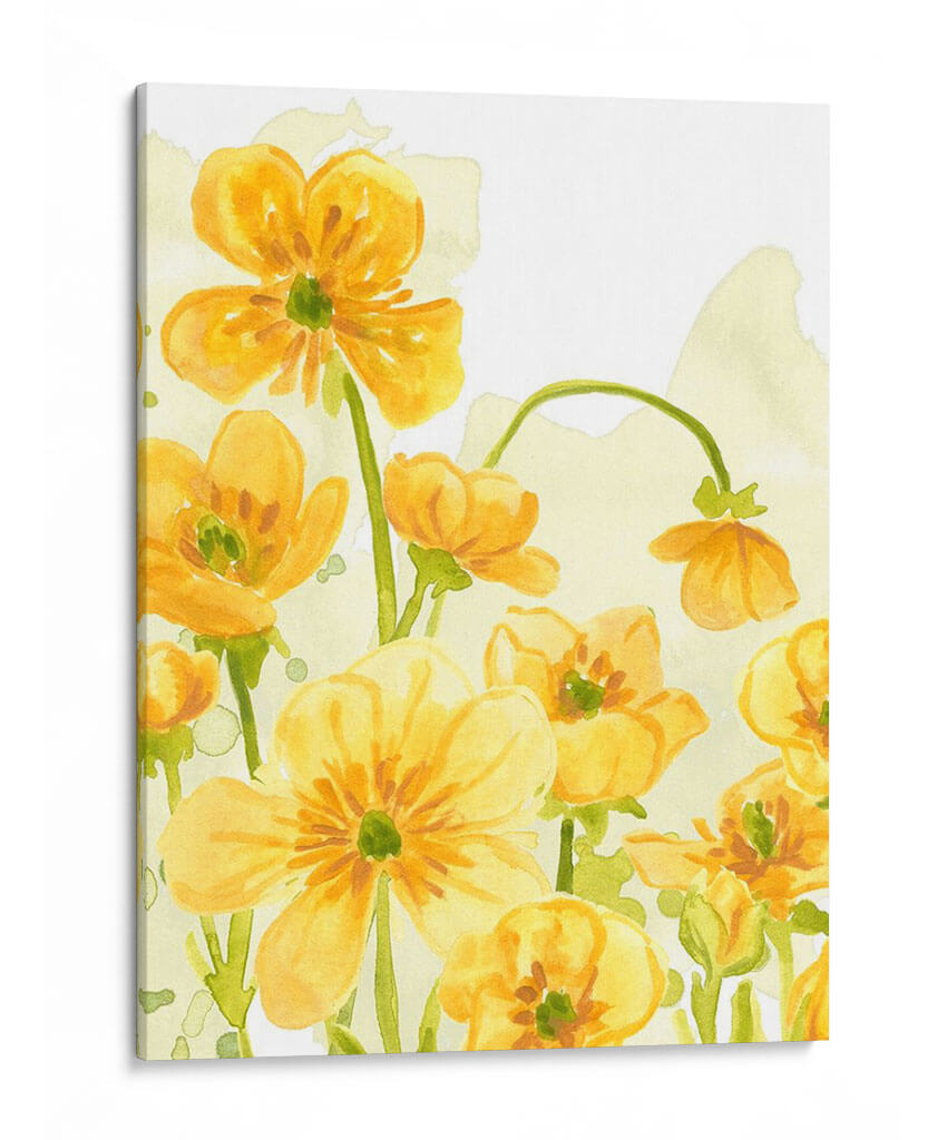 Sunshine Meadow Iii - June Erica Vess | Cuadro decorativo de Canvas Lab