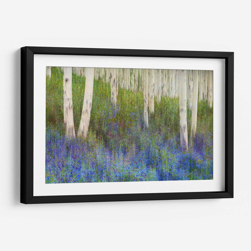 Suelo De Bosque De Aspen - Chris Vest | Cuadro decorativo de Canvas Lab