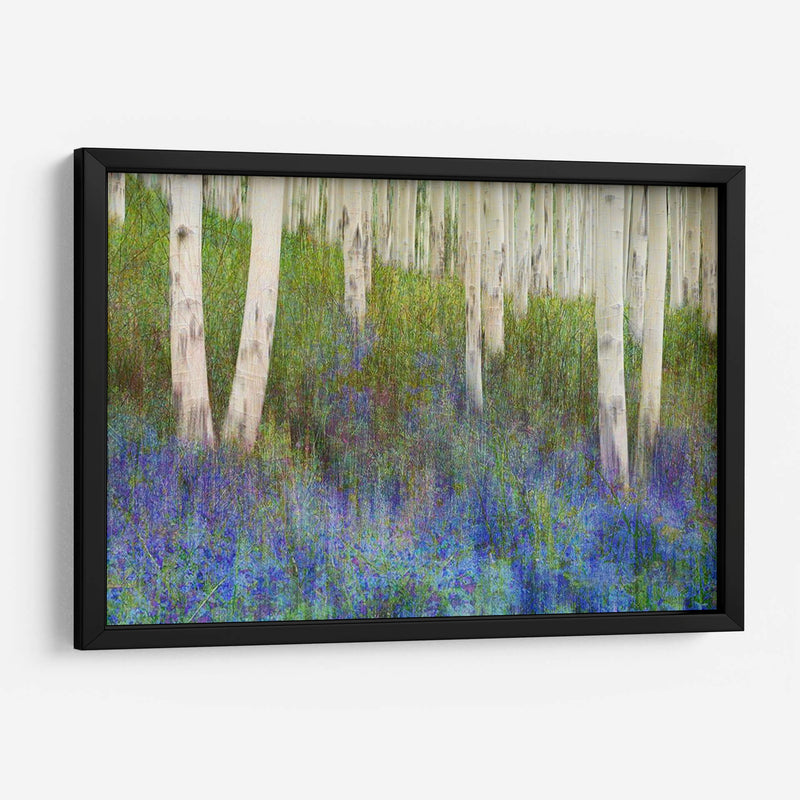 Suelo De Bosque De Aspen - Chris Vest | Cuadro decorativo de Canvas Lab