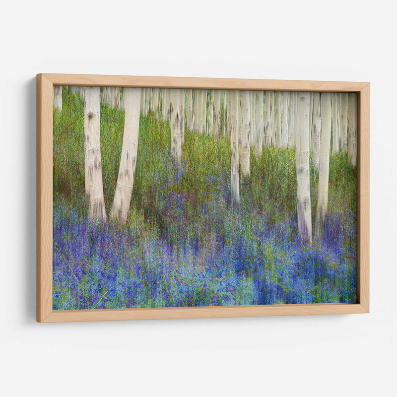 Suelo De Bosque De Aspen - Chris Vest | Cuadro decorativo de Canvas Lab