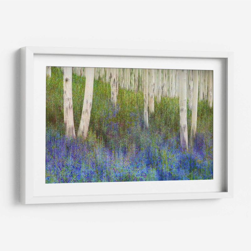 Suelo De Bosque De Aspen - Chris Vest | Cuadro decorativo de Canvas Lab