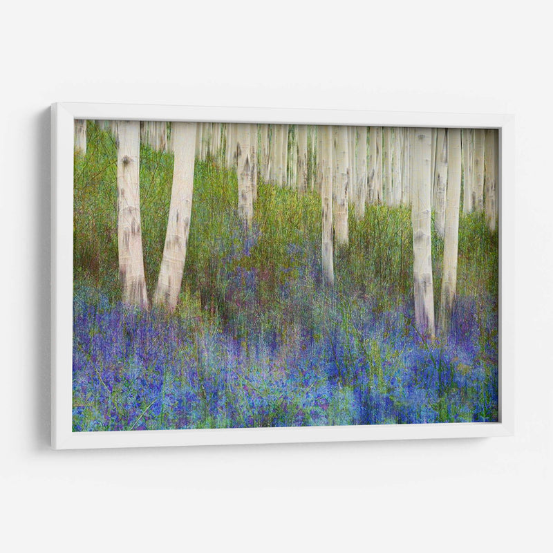 Suelo De Bosque De Aspen - Chris Vest | Cuadro decorativo de Canvas Lab