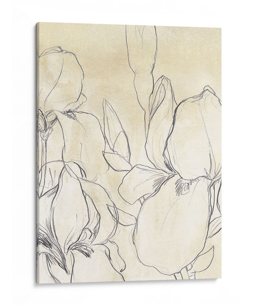 Iris Garden Sketch I - June Erica Vess | Cuadro decorativo de Canvas Lab