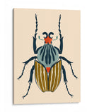 Bote De Escarabajo I - Susan Savory | Cuadro decorativo de Canvas Lab