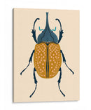 Beetle Bug Ii - Susan Savory | Cuadro decorativo de Canvas Lab