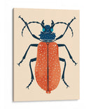 Beetle Bug Iii - Susan Savory | Cuadro decorativo de Canvas Lab