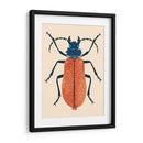 Beetle Bug Iii - Susan Savory | Cuadro decorativo de Canvas Lab