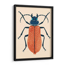 Beetle Bug Iii - Susan Savory | Cuadro decorativo de Canvas Lab