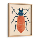 Beetle Bug Iii - Susan Savory | Cuadro decorativo de Canvas Lab