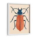 Beetle Bug Iii - Susan Savory | Cuadro decorativo de Canvas Lab