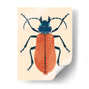 Beetle Bug Iii - Susan Savory | Cuadro decorativo de Canvas Lab