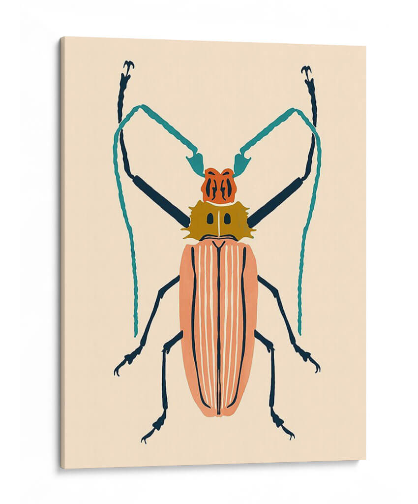 Beetle Bug Iv - Susan Savory | Cuadro decorativo de Canvas Lab