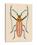 Beetle Bug Iv - Susan Savory | Cuadro decorativo de Canvas Lab