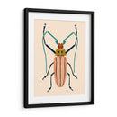 Beetle Bug Iv - Susan Savory | Cuadro decorativo de Canvas Lab
