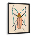 Beetle Bug Iv - Susan Savory | Cuadro decorativo de Canvas Lab