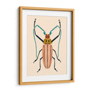 Beetle Bug Iv - Susan Savory | Cuadro decorativo de Canvas Lab