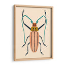 Beetle Bug Iv - Susan Savory | Cuadro decorativo de Canvas Lab