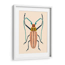 Beetle Bug Iv - Susan Savory | Cuadro decorativo de Canvas Lab