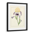 Iris Purple Ii | Cuadro decorativo de Canvas Lab