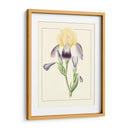 Iris Purple Ii | Cuadro decorativo de Canvas Lab