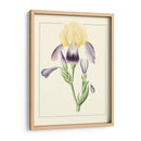 Iris Purple Ii | Cuadro decorativo de Canvas Lab
