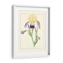 Iris Purple Ii | Cuadro decorativo de Canvas Lab