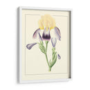 Iris Purple Ii | Cuadro decorativo de Canvas Lab