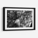 Árbol 2 - HCTR | Cuadro decorativo de Canvas Lab