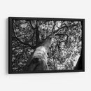 Árbol 2 - HCTR | Cuadro decorativo de Canvas Lab