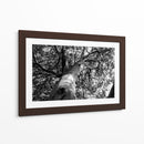 Árbol 2 - HCTR | Cuadro decorativo de Canvas Lab