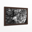 Árbol 2 - HCTR | Cuadro decorativo de Canvas Lab