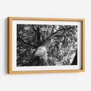 Árbol 2 - HCTR | Cuadro decorativo de Canvas Lab