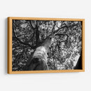 Árbol 2 - HCTR | Cuadro decorativo de Canvas Lab