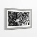 Árbol 2 - HCTR | Cuadro decorativo de Canvas Lab