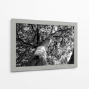 Árbol 2 - HCTR | Cuadro decorativo de Canvas Lab