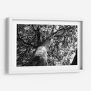 Árbol 2 - HCTR | Cuadro decorativo de Canvas Lab