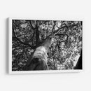 Árbol 2 - HCTR | Cuadro decorativo de Canvas Lab