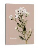 Bonesets Blancos Ii - Gerard Paul Deshayes | Cuadro decorativo de Canvas Lab