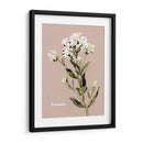 Bonesets Blancos Ii - Gerard Paul Deshayes | Cuadro decorativo de Canvas Lab