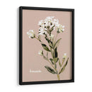 Bonesets Blancos Ii - Gerard Paul Deshayes | Cuadro decorativo de Canvas Lab