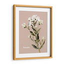 Bonesets Blancos Ii - Gerard Paul Deshayes | Cuadro decorativo de Canvas Lab