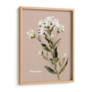 Bonesets Blancos Ii - Gerard Paul Deshayes | Cuadro decorativo de Canvas Lab