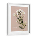 Bonesets Blancos Ii - Gerard Paul Deshayes | Cuadro decorativo de Canvas Lab