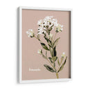 Bonesets Blancos Ii - Gerard Paul Deshayes | Cuadro decorativo de Canvas Lab